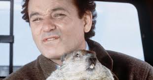 Bill Murray and the Ground Hog