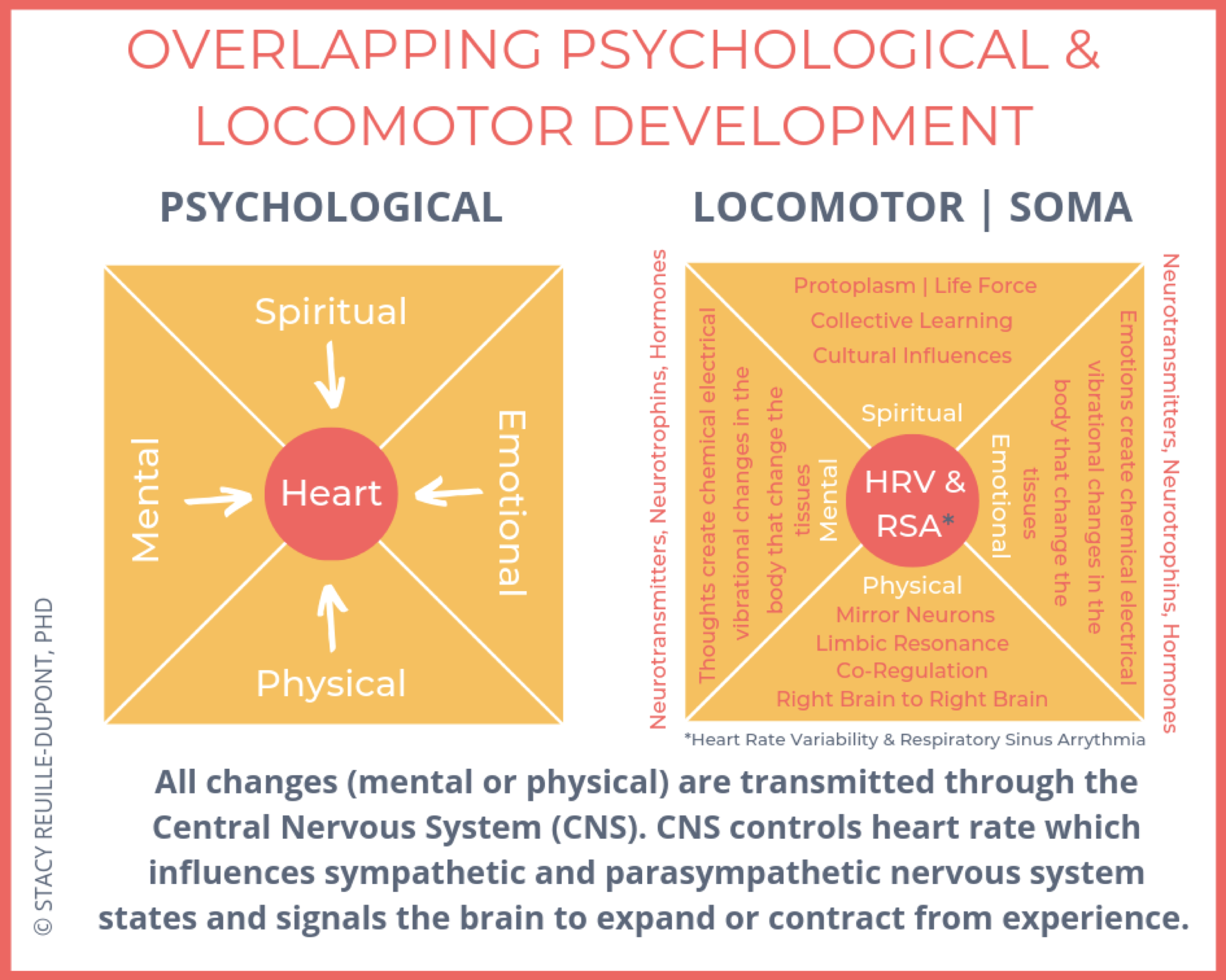 graphic to show Overlapping Psychological and Locomotor Development